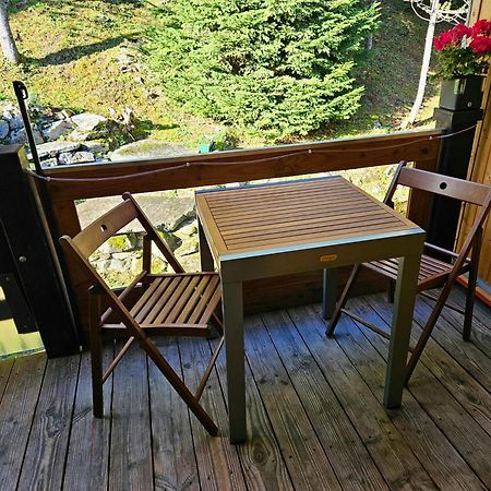 Gemuetliche Fewo Mit Sauna Inmitten Der Berge Meiringen Kültér fotó