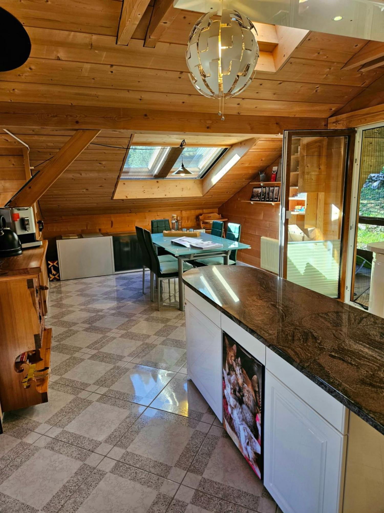 Gemuetliche Fewo Mit Sauna Inmitten Der Berge Meiringen Kültér fotó