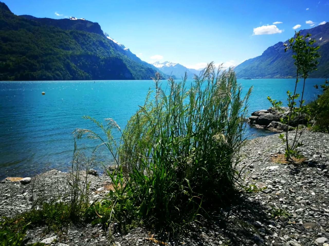 Gemuetliche Fewo Mit Sauna Inmitten Der Berge Meiringen Kültér fotó