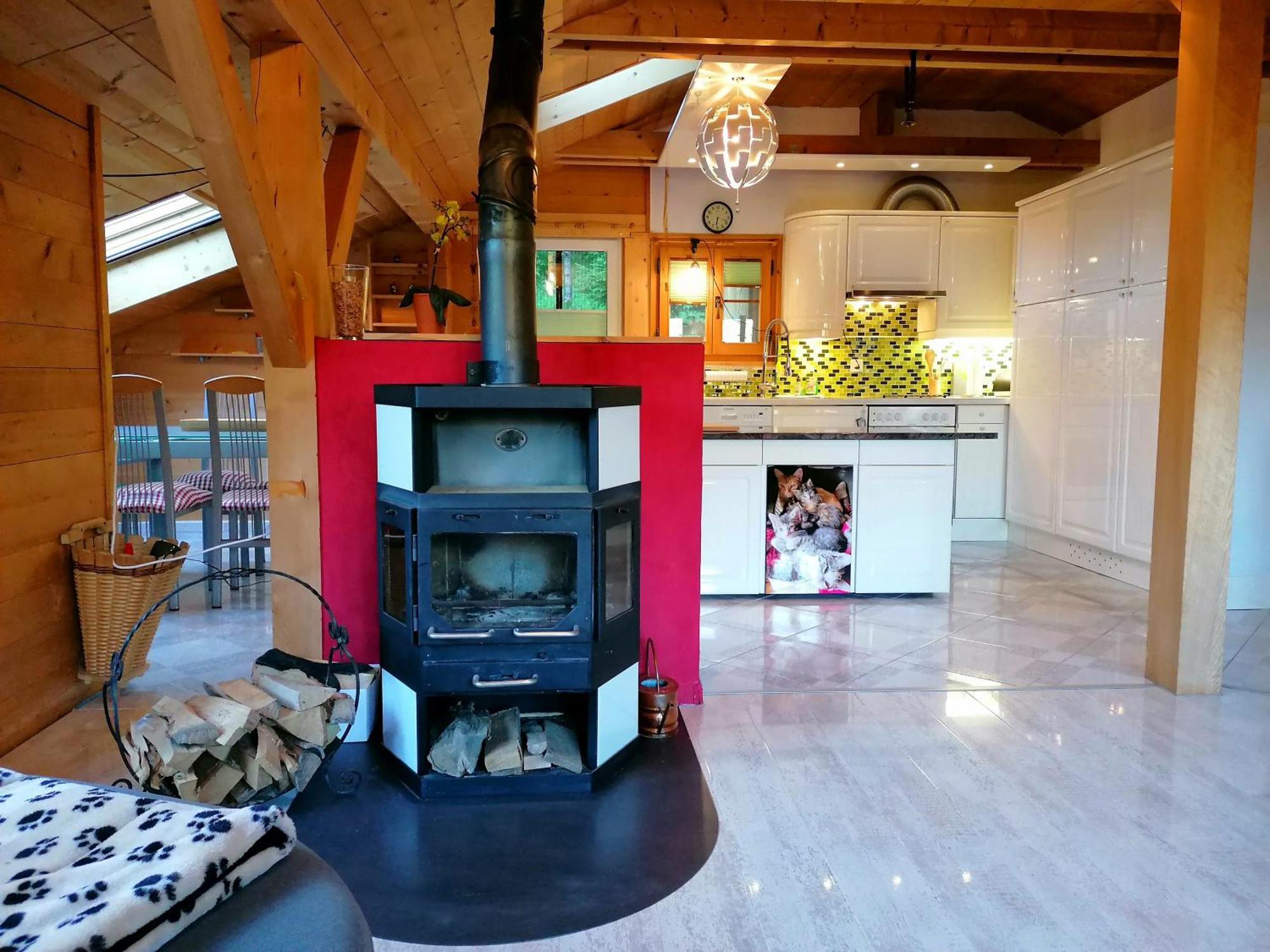 Gemuetliche Fewo Mit Sauna Inmitten Der Berge Meiringen Kültér fotó