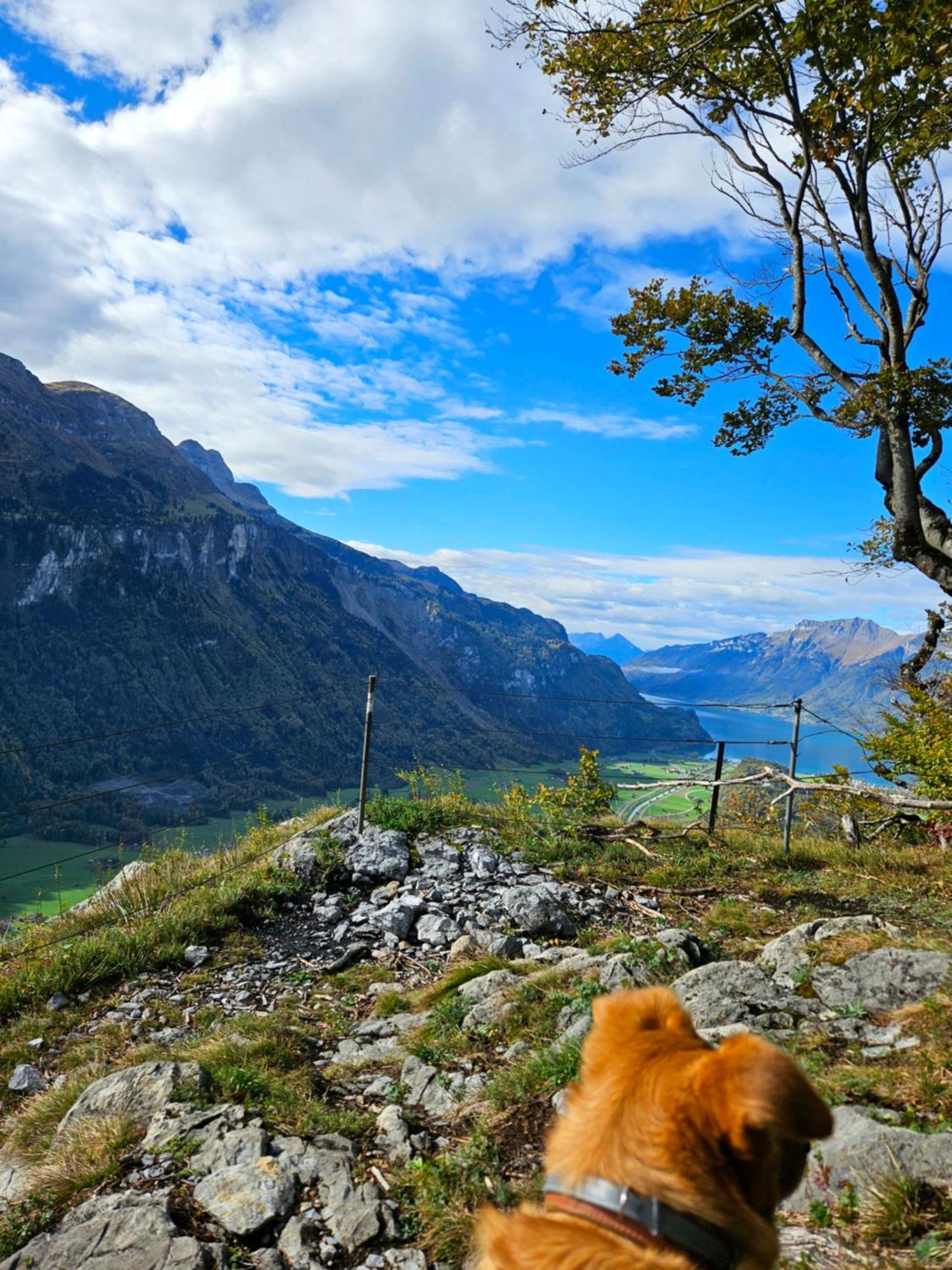 Gemuetliche Fewo Mit Sauna Inmitten Der Berge Meiringen Kültér fotó